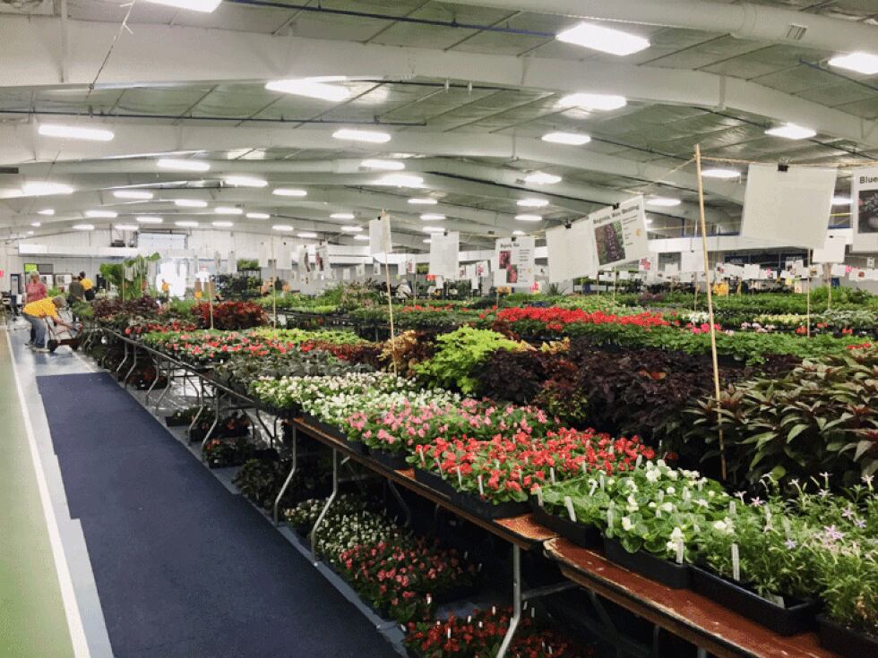 McMillen Park Community Center will be packed with plants for the annual Mother's Day weekend...
