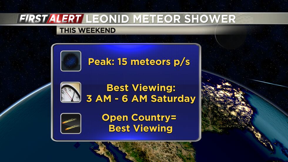 Leonid meteor shower
