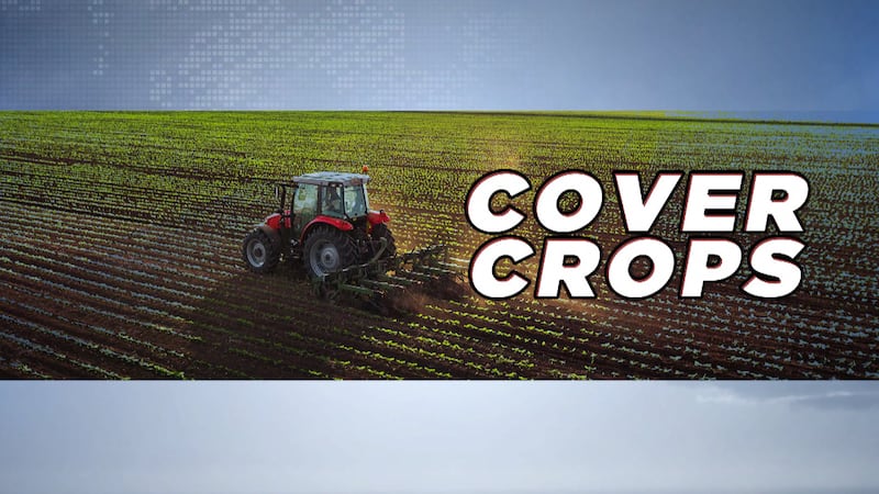 Cover Crops