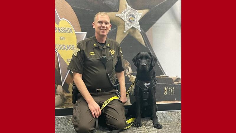 Jeb is the newest K-9 at the Grant County Sheriff's Office.