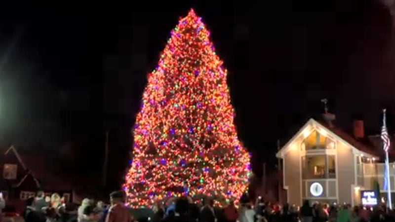 The Christmas on Broadway tree is illuminated in November 2020.